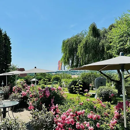 Hotel Bellevue 4*