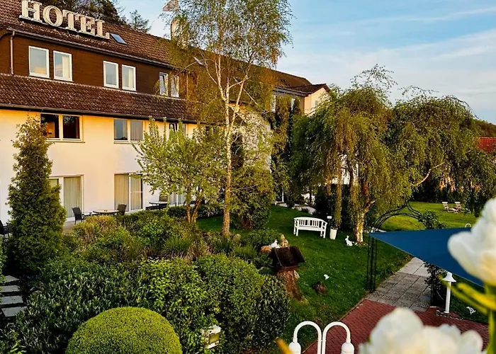 Hotel Bellevue Weimar (Lahn)